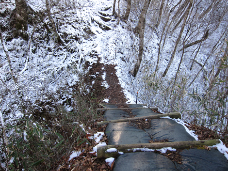 20191129hike (503)